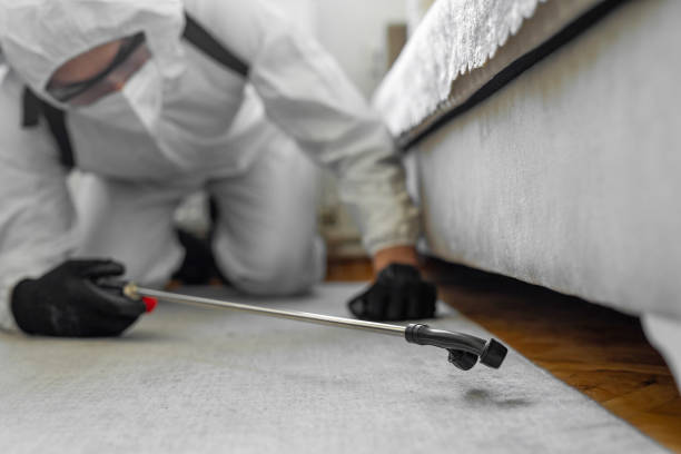 Professional Bed Bug Control technician working in Brooklyn, IN