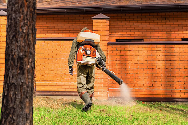 Top rated local Bed Bug Control specialists in Brooklyn, IN